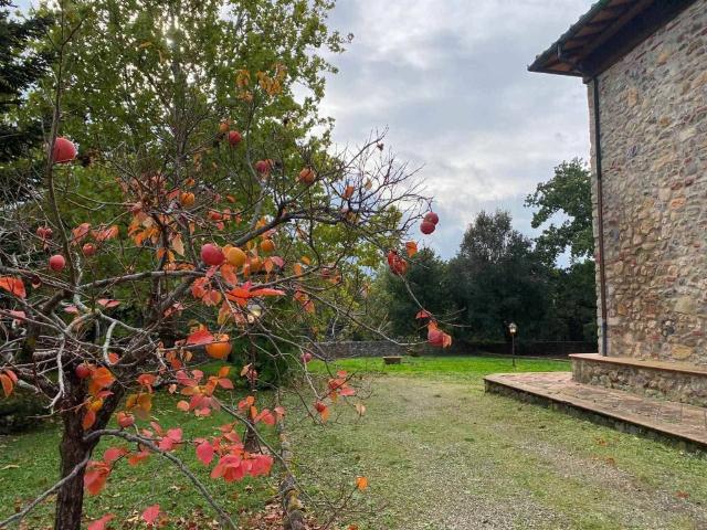 Appartamento in vendita a Monticiano SI