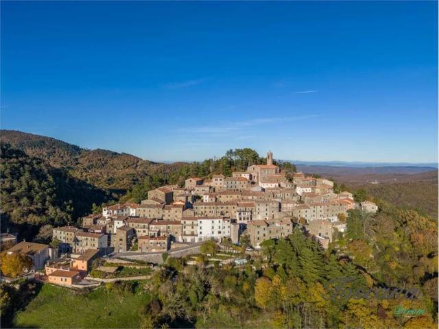 Appartamento in vendita a Montieri GR