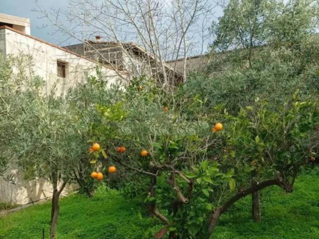 Appartamento in vendita a Motta Camastra ME