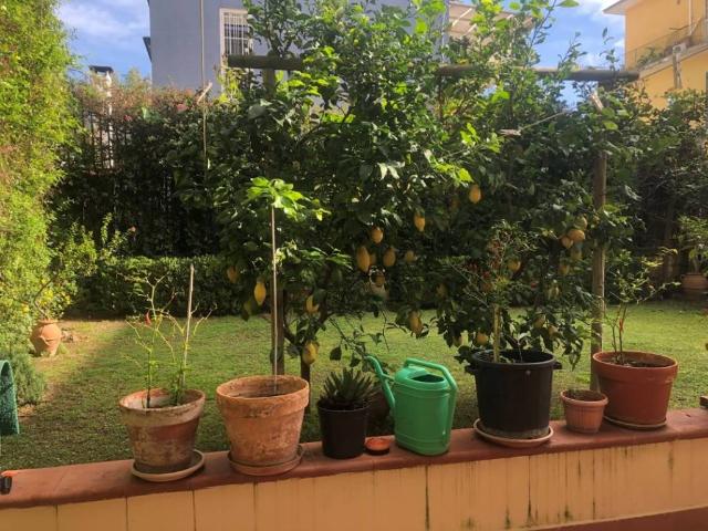 Appartamento in vendita a Napoli NA