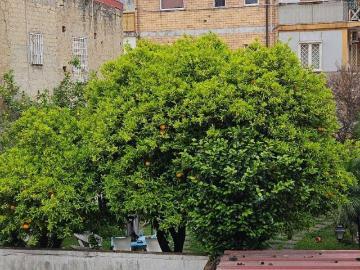 Appartamento in vendita a Napoli NA