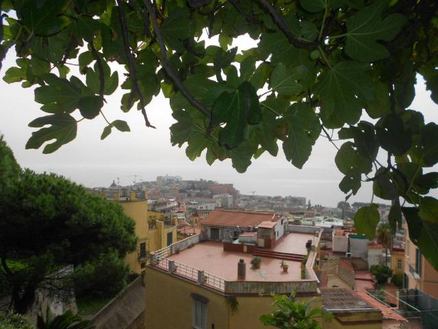 Appartamento in vendita a Napoli NA