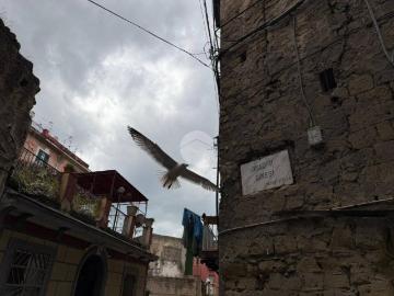 Appartamento in vendita a Napoli NA