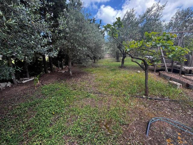 Appartamento in vendita a Narcao