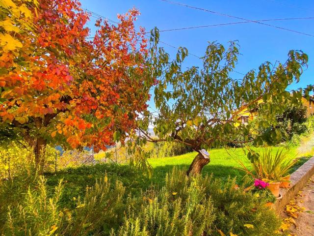 Appartamento in vendita a Negrar di Valpolicella VR