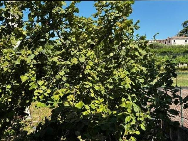 Appartamento in vendita a Negrar di Valpolicella VR