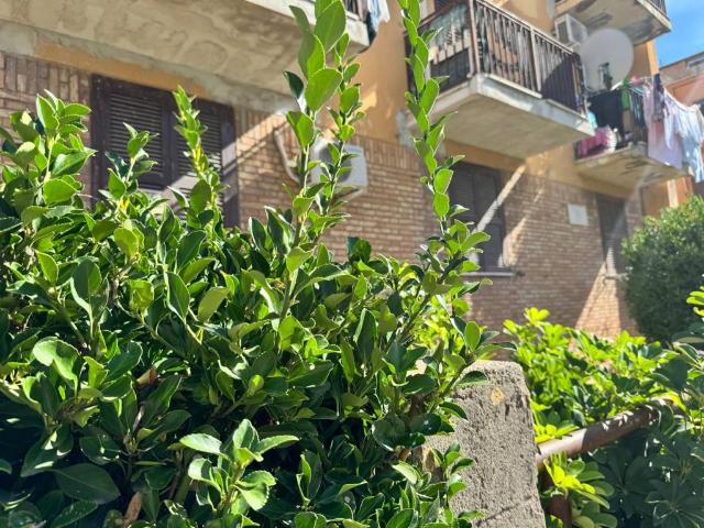 Appartamento in vendita a Nettuno RM