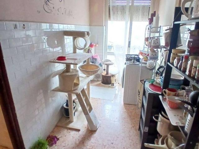 Appartamento in vendita a Novara NO