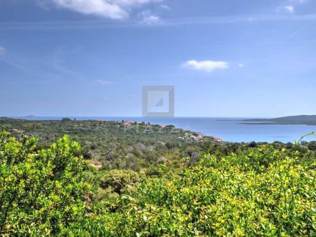 Appartamento in vendita a Olbia OT