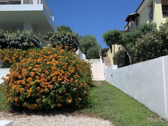 Appartamento in vendita a Olbia OT
