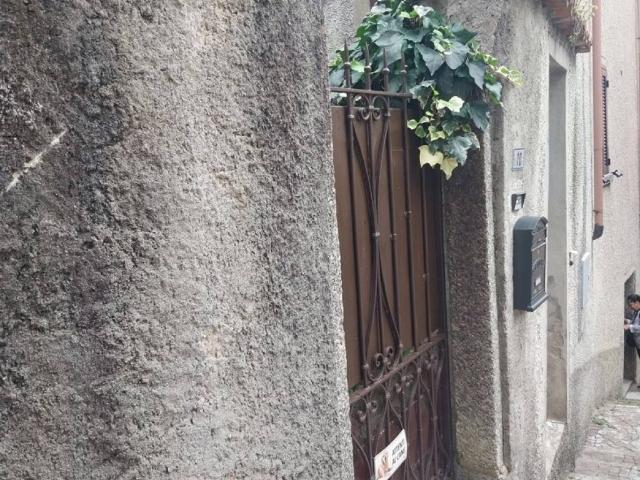 Appartamento in vendita a Oliveto Lario LC