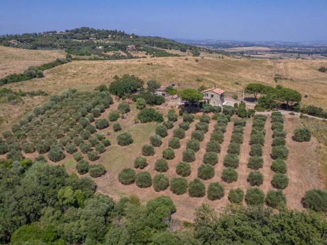 Appartamento in vendita a Orbetello, Fonteblanda