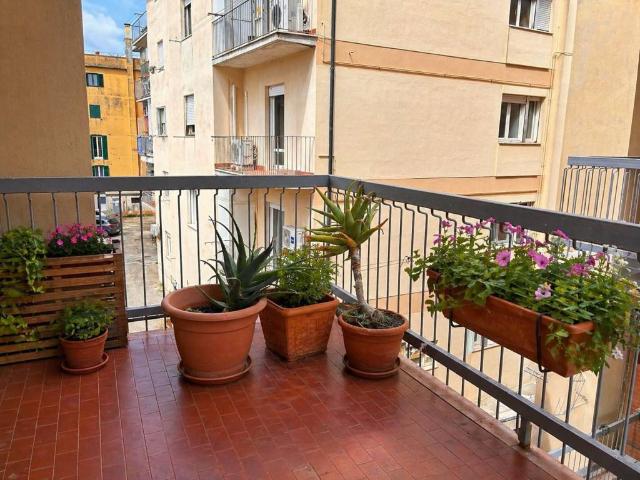 Appartamento in vendita a Orbetello GR