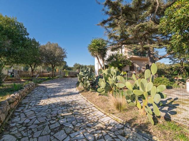 Appartamento in vendita a Orbetello GR