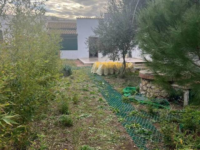 Appartamento in vendita a Orbetello GR