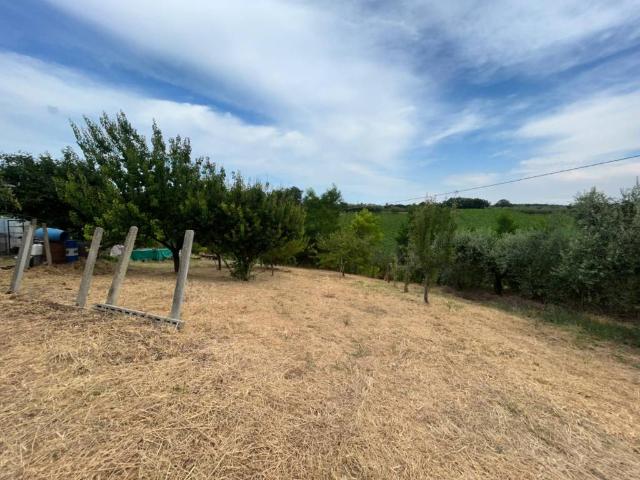 Appartamento in vendita a Ortona CH