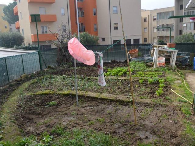 Appartamento in vendita a Osimo AN