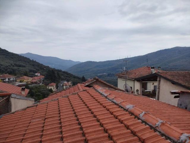 Appartamento in vendita a Aurigo IM