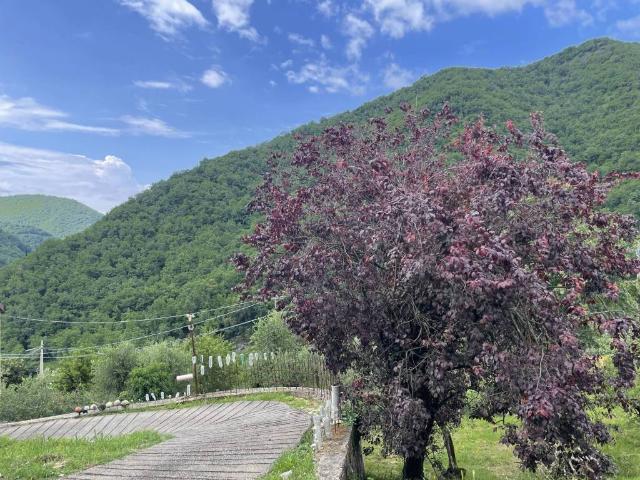 Appartamento in vendita a Avegno GE