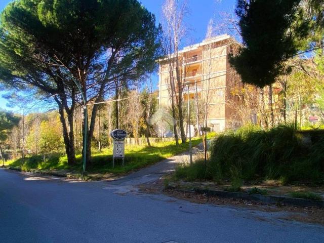 Appartamento in vendita a Acquappesa CS