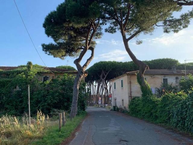 Appartamento in vendita a Ameglia SP