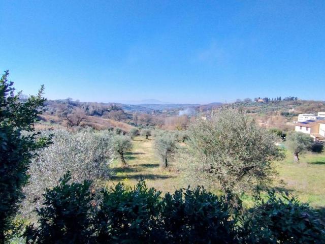 Appartamento in vendita a Amelia TR