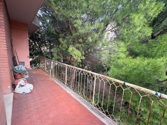 Appartamento in vendita a Ancona AN