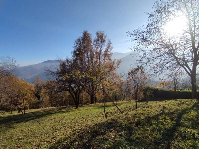 Appartamento in vendita a Angrogna TO