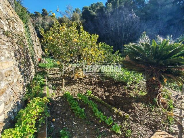 Appartamento in vendita a Andora SV