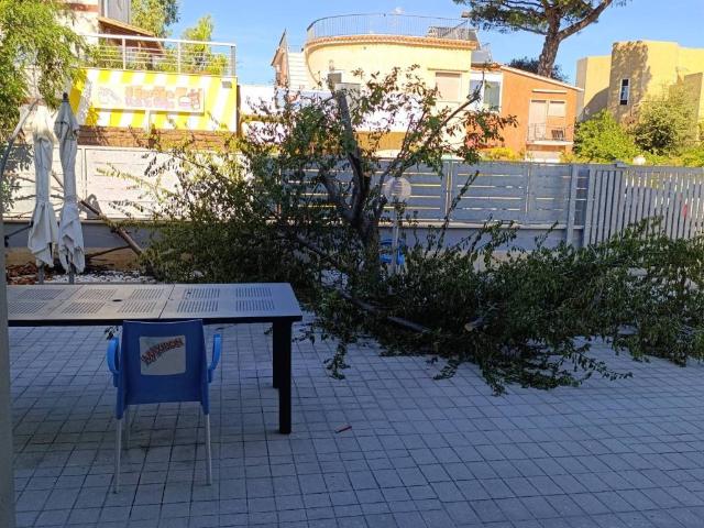 Appartamento in vendita a Anzio RM