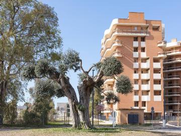 Carroceto, Latina Lazio