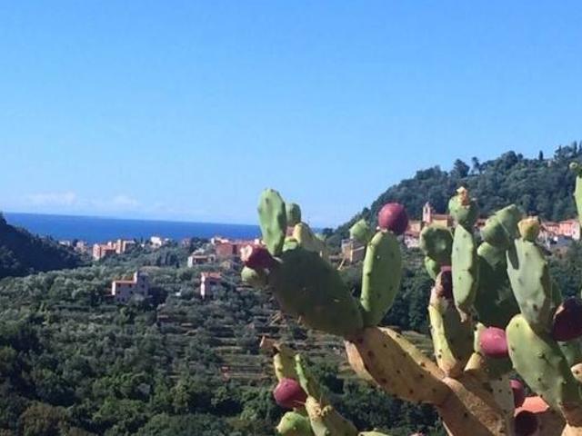 Appartamento in vendita a Arcola SP