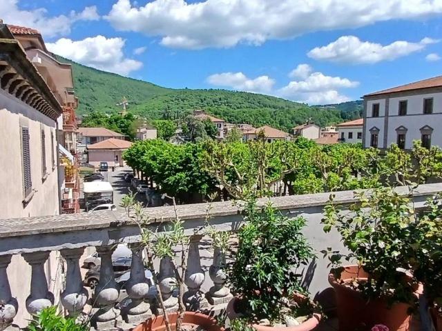 Appartamento in vendita a Arcidosso GR