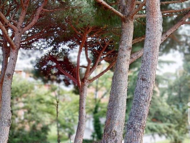 Appartamento in vendita a Arenzano GE
