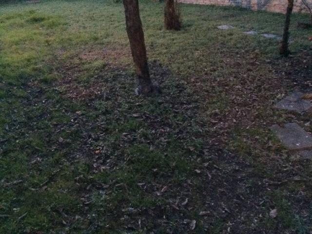 Appartamento in vendita a Arezzo AR