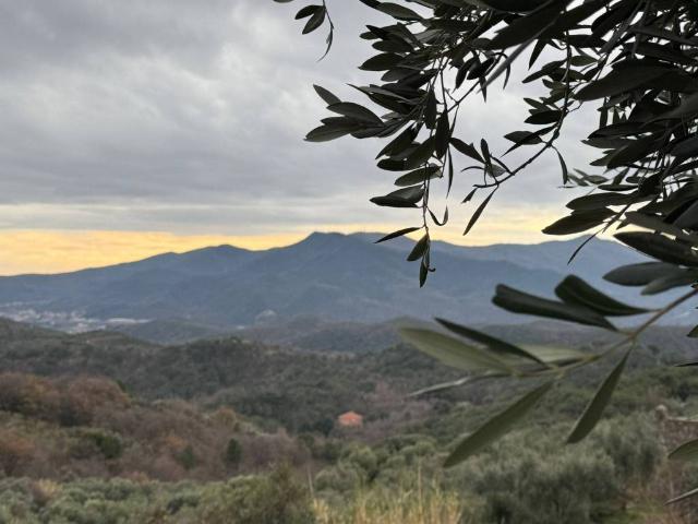 Appartamento in vendita a Arnasco SV