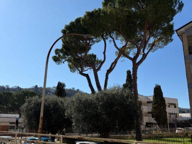 Appartamento in vendita a Ascoli Piceno AP