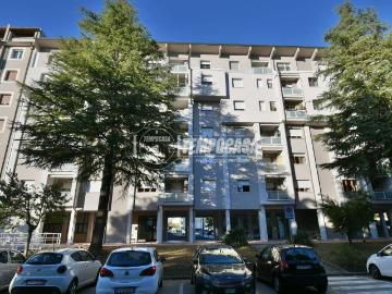 Viale dei Platani Ascoli Piceno, Ascoli Piceno, Ascoli Piceno Marche