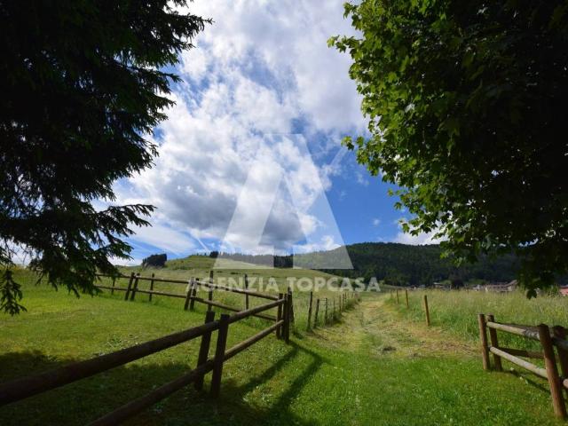 Appartamento in vendita a Asiago VI