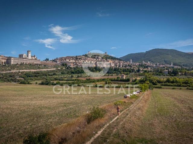 Appartamento in vendita a Assisi PG