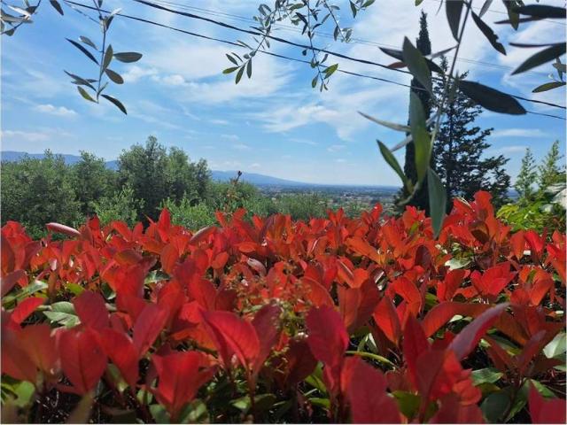 Appartamento in vendita a Buggiano PT