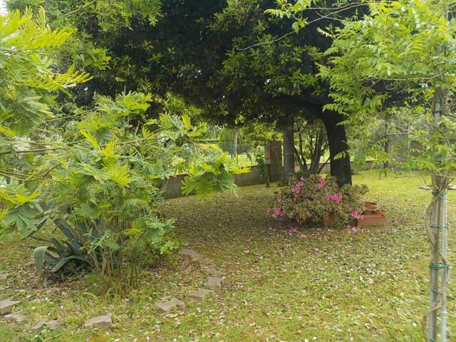 Appartamento in vendita a Buggiano PT