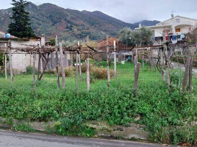 Appartamento in vendita a Buonvicino CS
