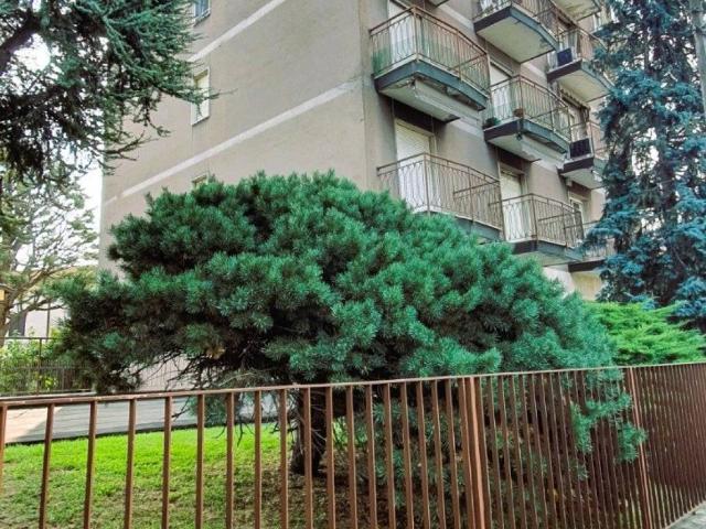 Appartamento in vendita a Busto Arsizio VA