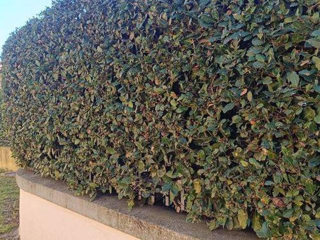 Appartamento in vendita a Bagno a Ripoli FI
