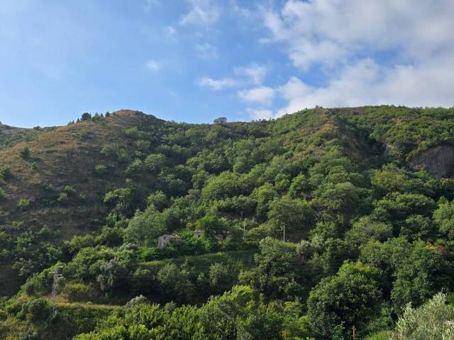 Appartamento in vendita a Belmonte Calabro CS