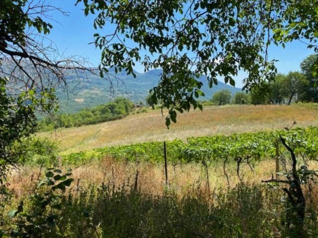 Appartamento in vendita a Belmonte del Sannio IS