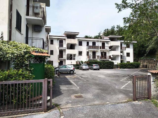 Appartamento in vendita a Belvedere Marittimo CS