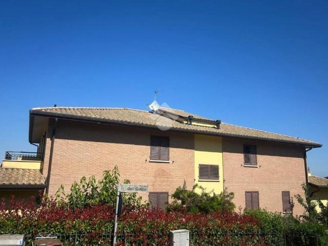 Appartamento in vendita a Bettona PG