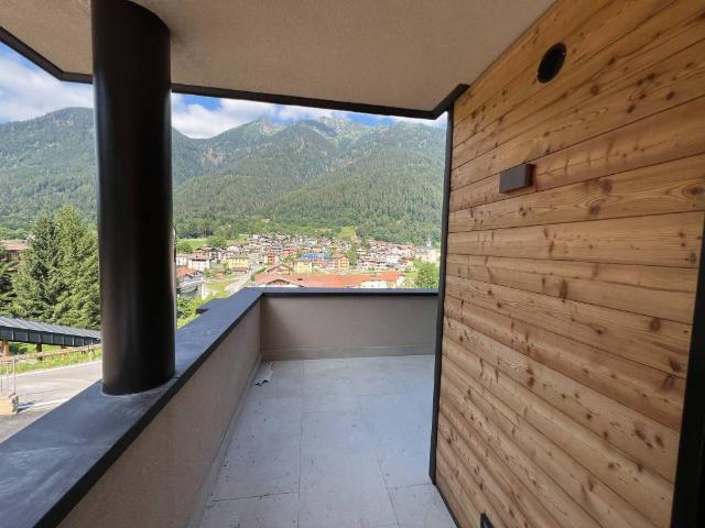 Appartamento in vendita a Bocenago TN